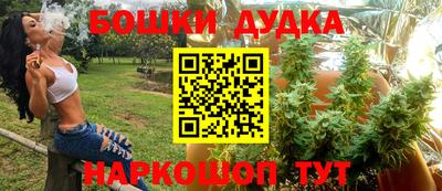 apvp Лесосибирск