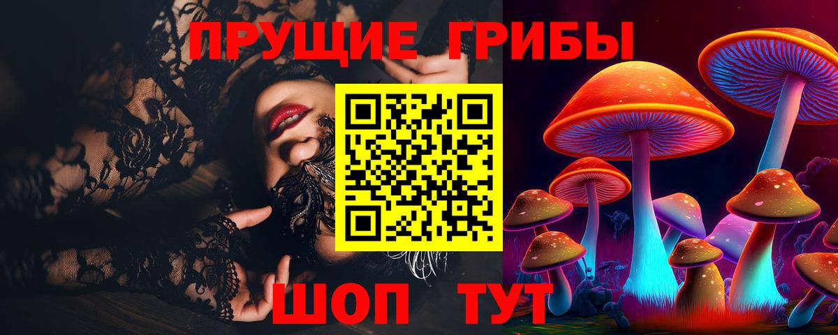 Псилоцибиновые грибы Psilocybe  Псилоцибиновые грибы мицелий  Вход с VPN  Тамбов 